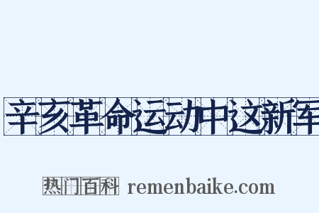 辛亥革命运动中这新军是什么意思的图片